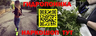 прущие грибы Бийск