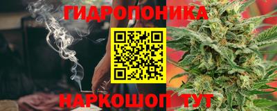 прущие грибы Бийск