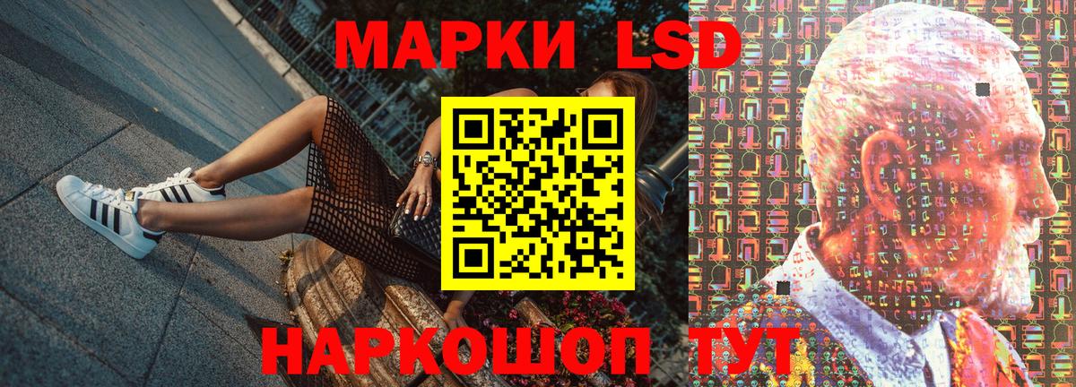 Бошки Шишки Белгород